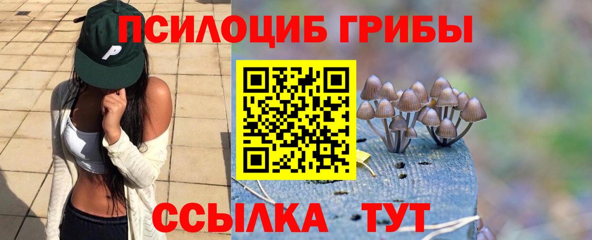 Псилоцибиновые грибы ЛСД Советская Гавань